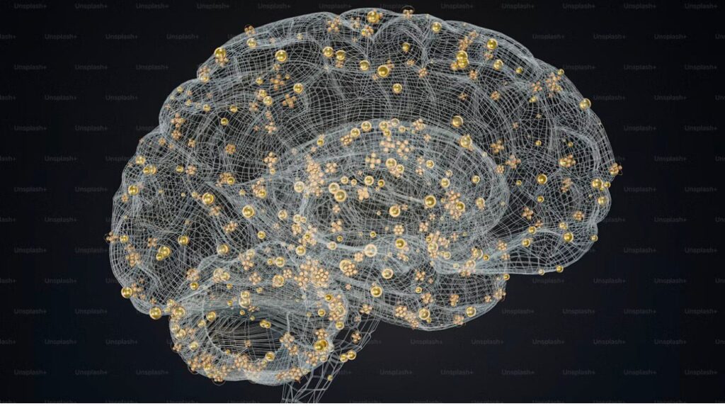 whatsapp image 2026 01 09 at 19.50.20