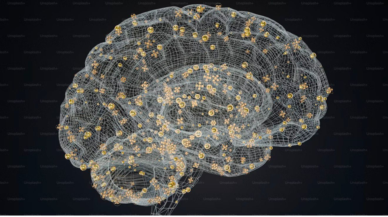 whatsapp image 2026 01 09 at 19.50.20