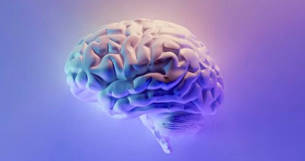 whatsapp image 2026 01 09 at 19.50.43